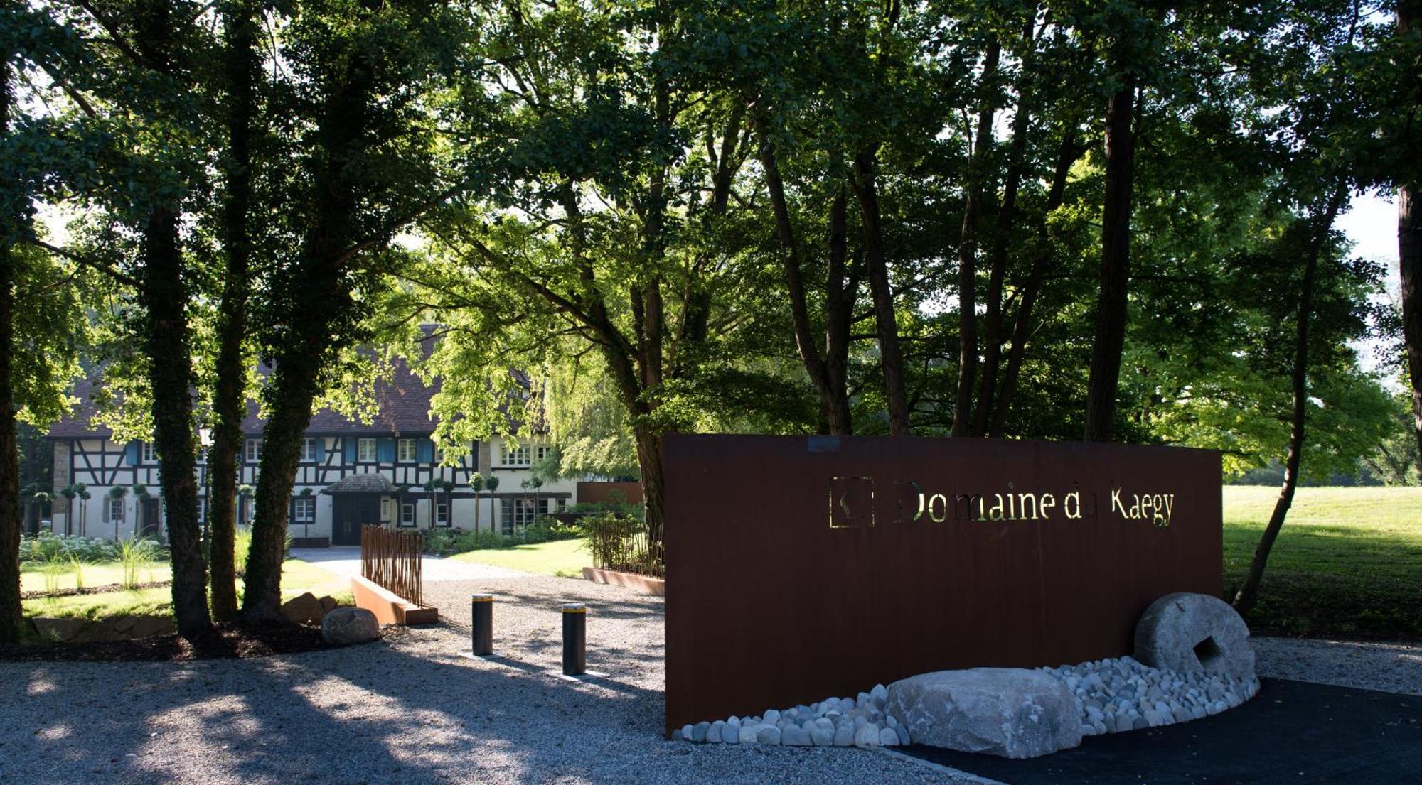 Domaine Du Kaegy - Hebergements 5 Etoiles Steinbrunn-le-Bas 外观 照片